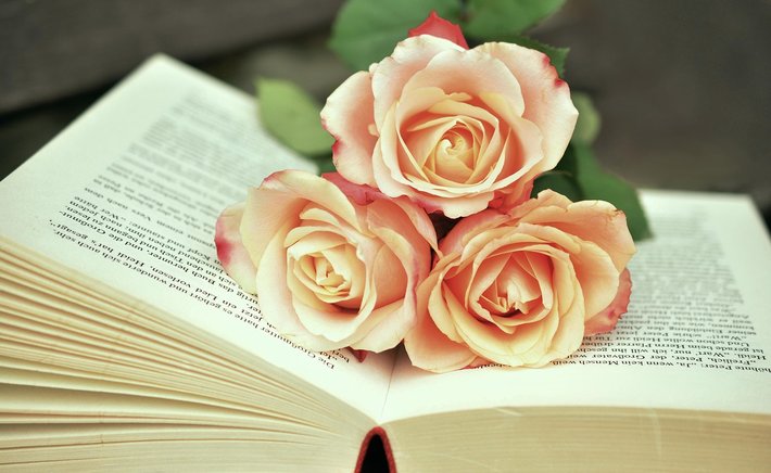 The Art of the Marginal Note: Making Your Reading Life Visible